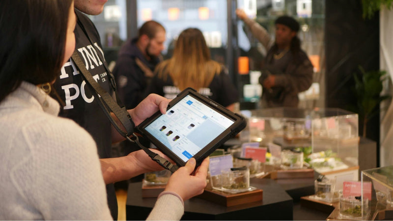 Woman browsing product in cannabis dispensary with budtender