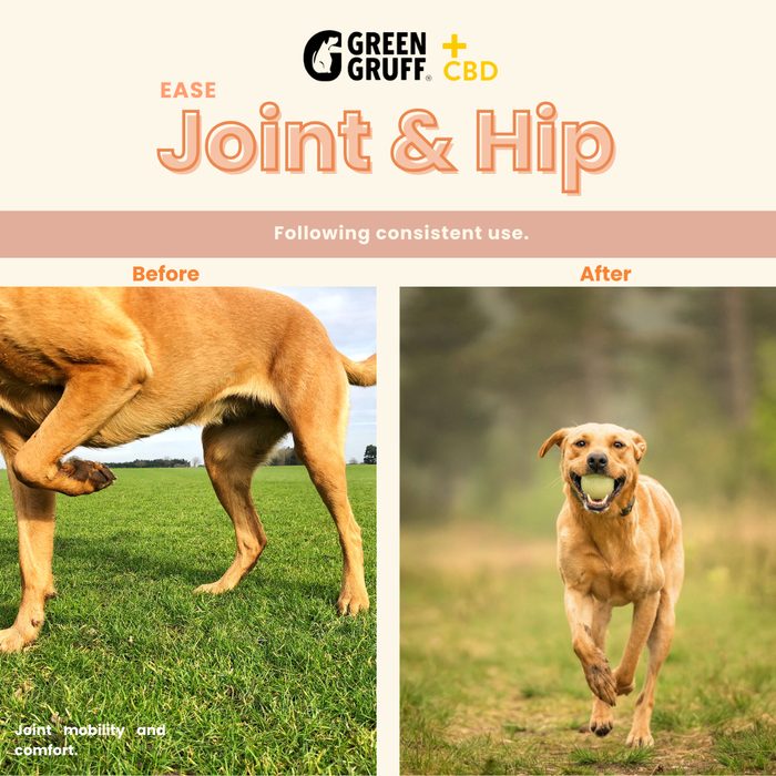 Green Gruff CBD Ease Joint & Hip - 24 Soft Chews (6-Pack)
