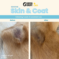 Green Gruff CBD Soothe Skin & Coat - 24 Soft Chews (6-Pack)