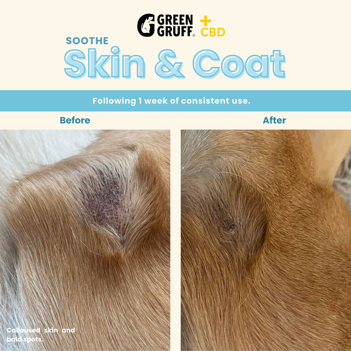 Green Gruff CBD Soothe Skin & Coat - 24 Soft Chews (6-Pack)