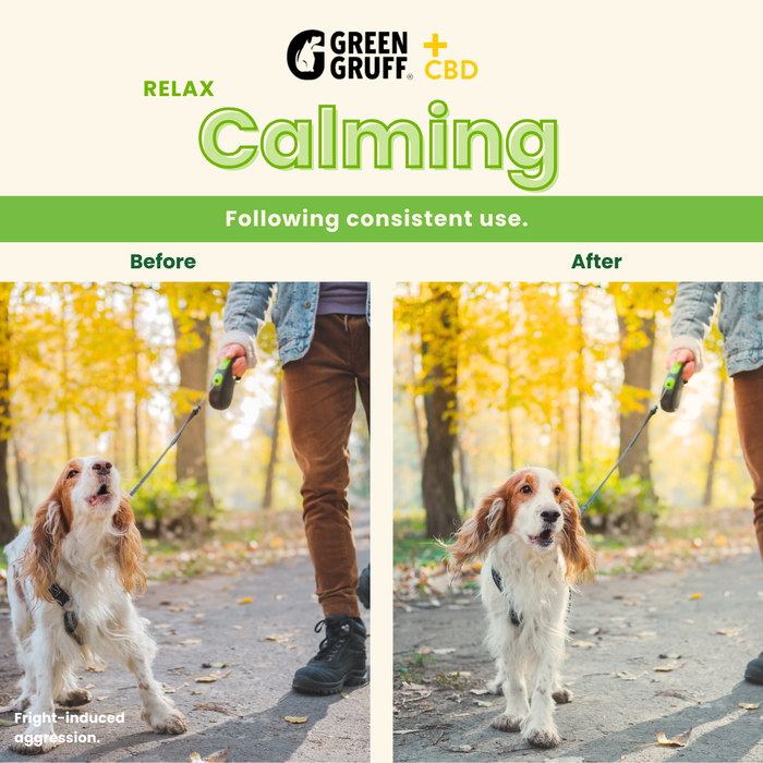 Green Gruff CBD Relax Calming - 24 Soft Chews (6-Pack)