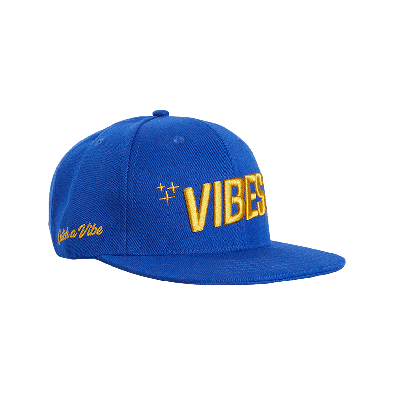 Vibes Snapback