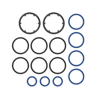 Storz & Bickel Solid Valve O-Ring Set